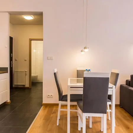 Tatry Granitica Centrum Apartment *